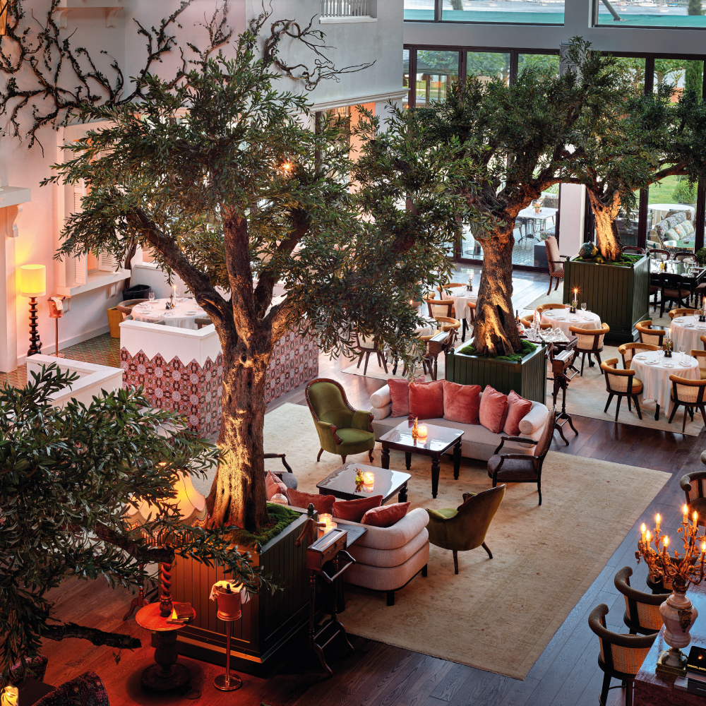 Aliee Hotel Turizm Anonim Şirketi Şirket Hayatı