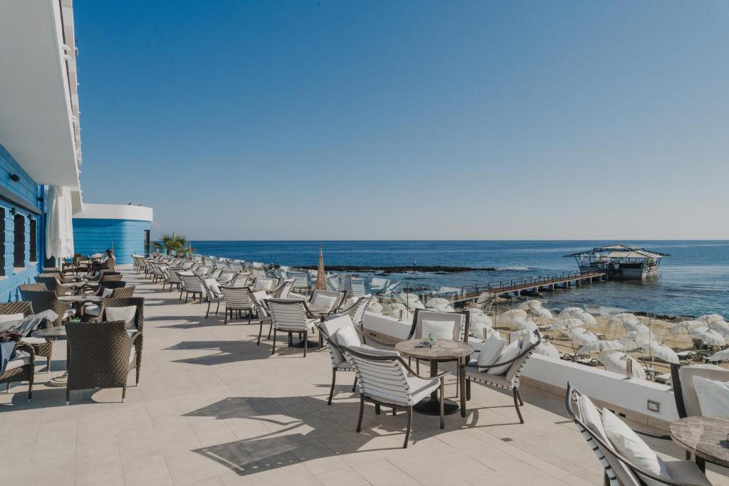 Arkın Palm Beach Hotel Şirket Hayatı
