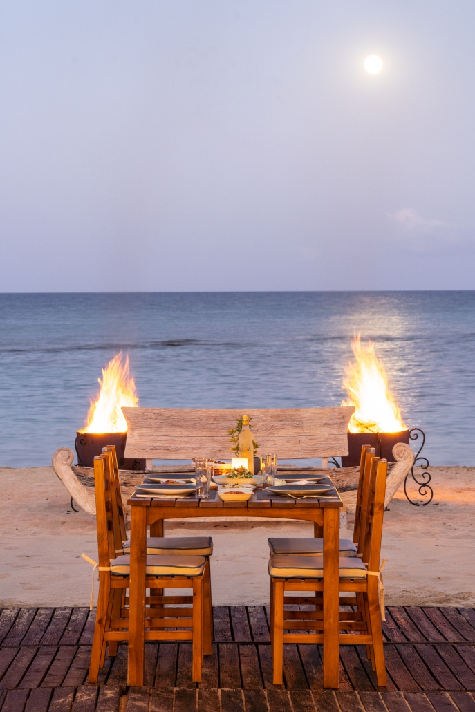 Arkın Palm Beach Hotel Şirket Hayatı