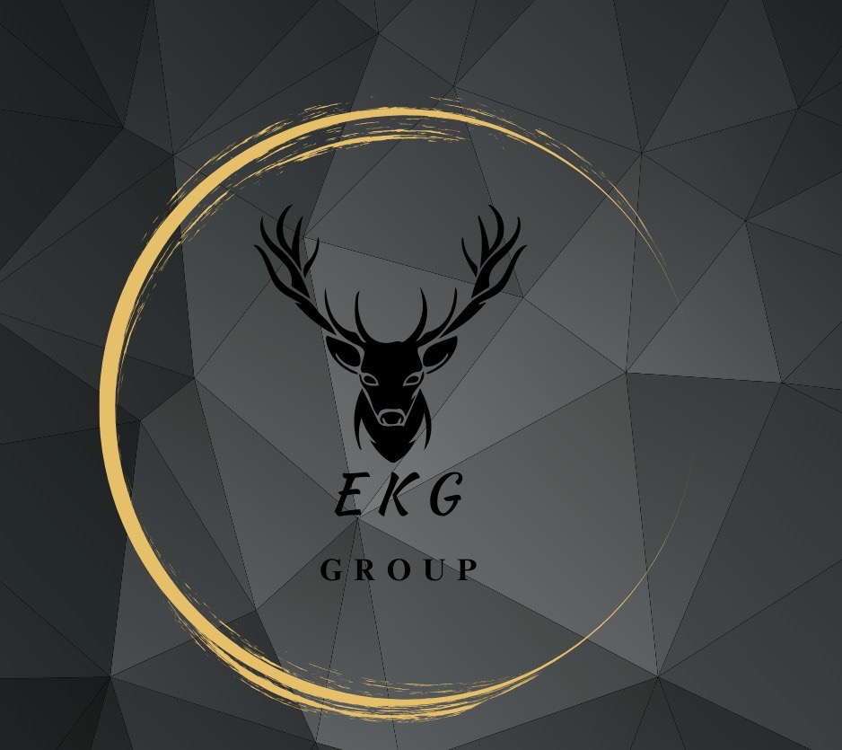 Ekg Group Mühendislik İnşaat ve Sanayi Ticaret Limited Şirketi Şirket Hayatı