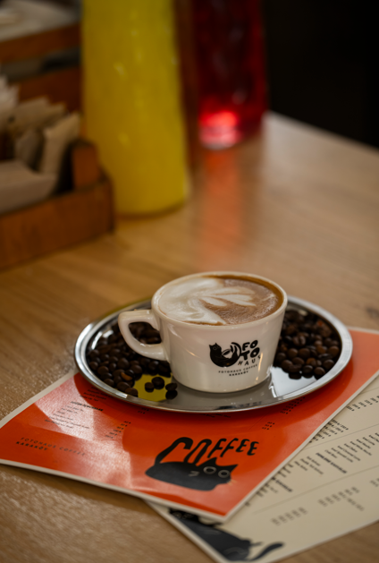 Fotohaus Coffee Karaköy Şirket Hayatı