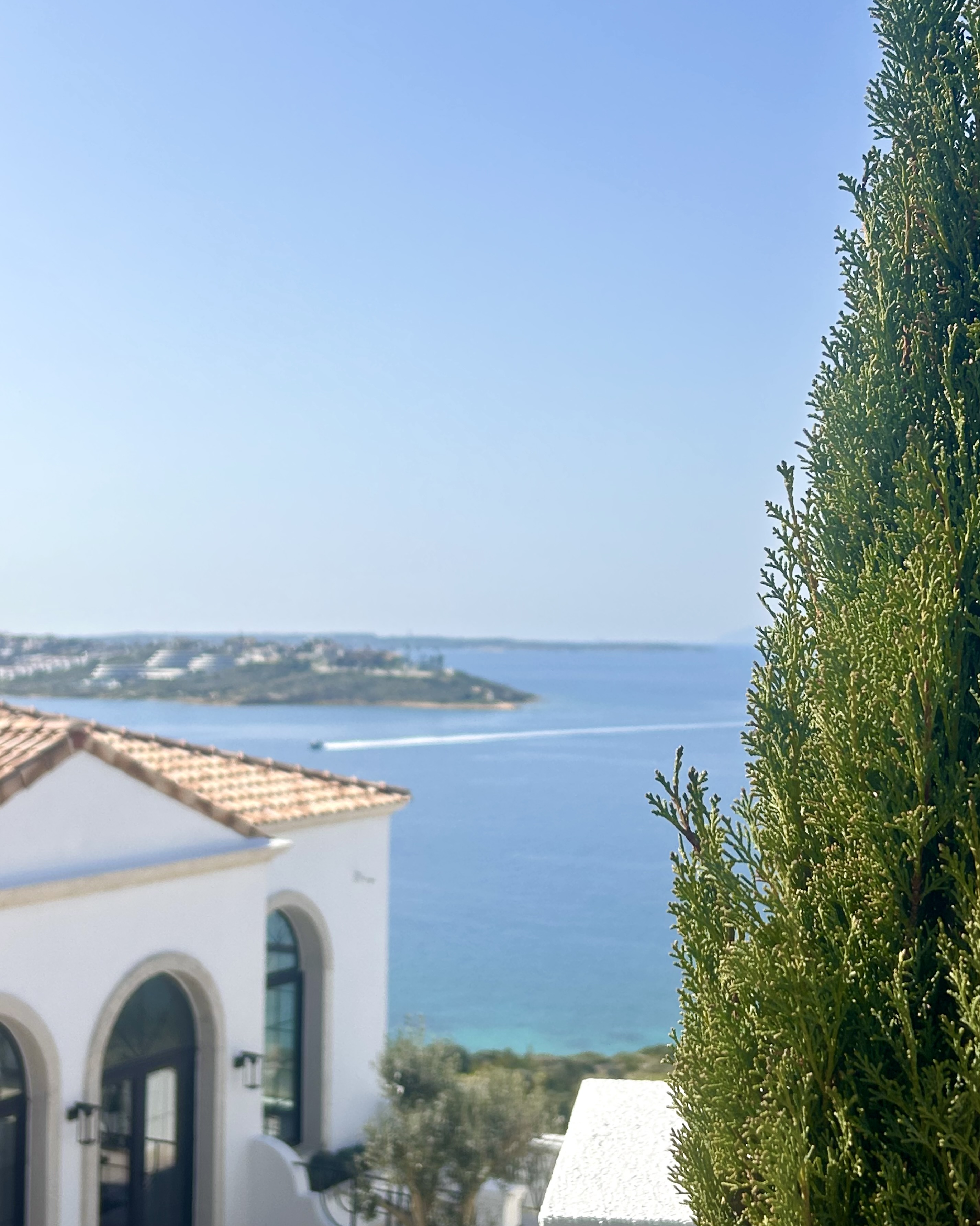 Hotel Jirasol Şirket Hayatı