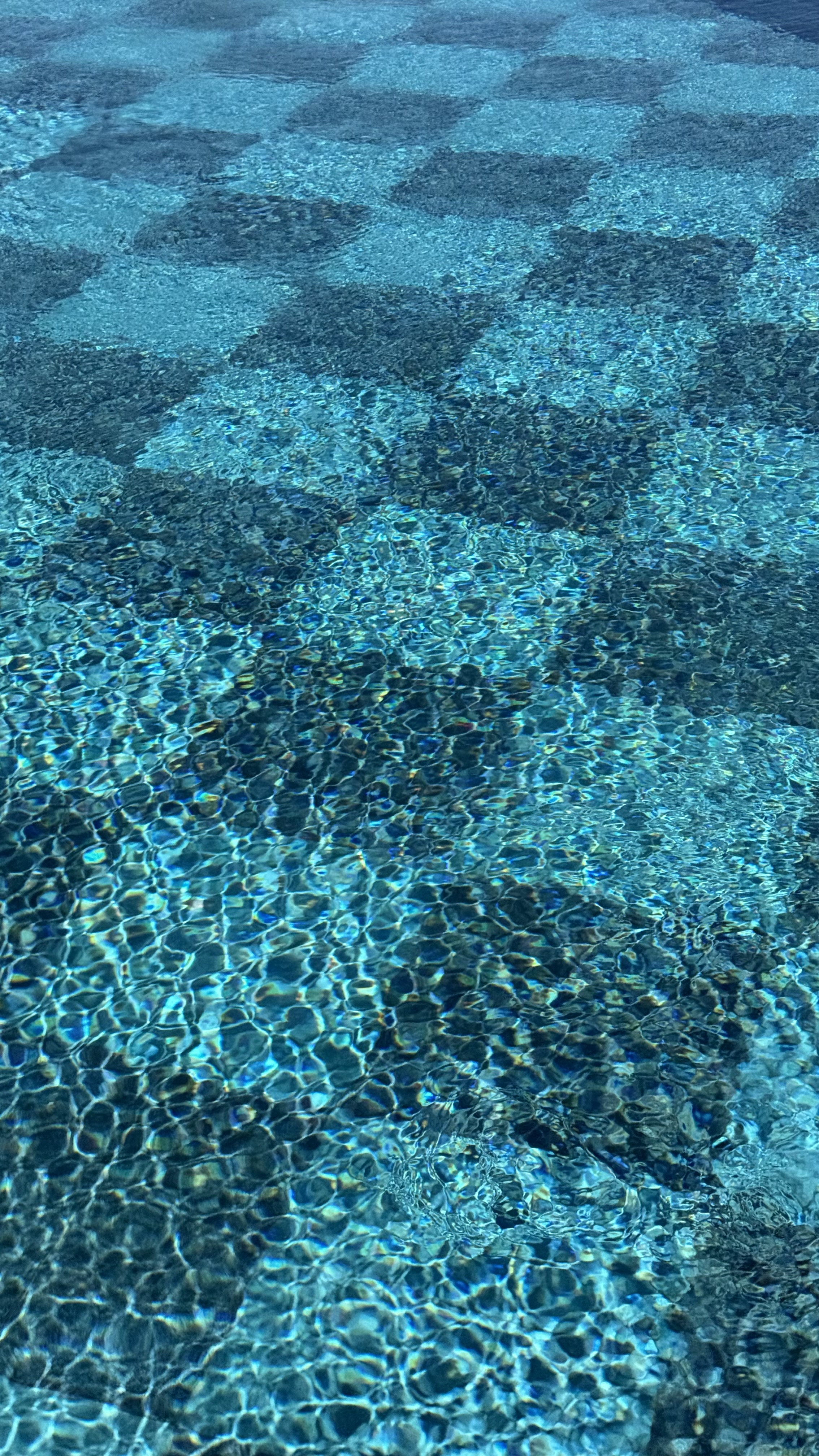 Hotel Jirasol Şirket Hayatı