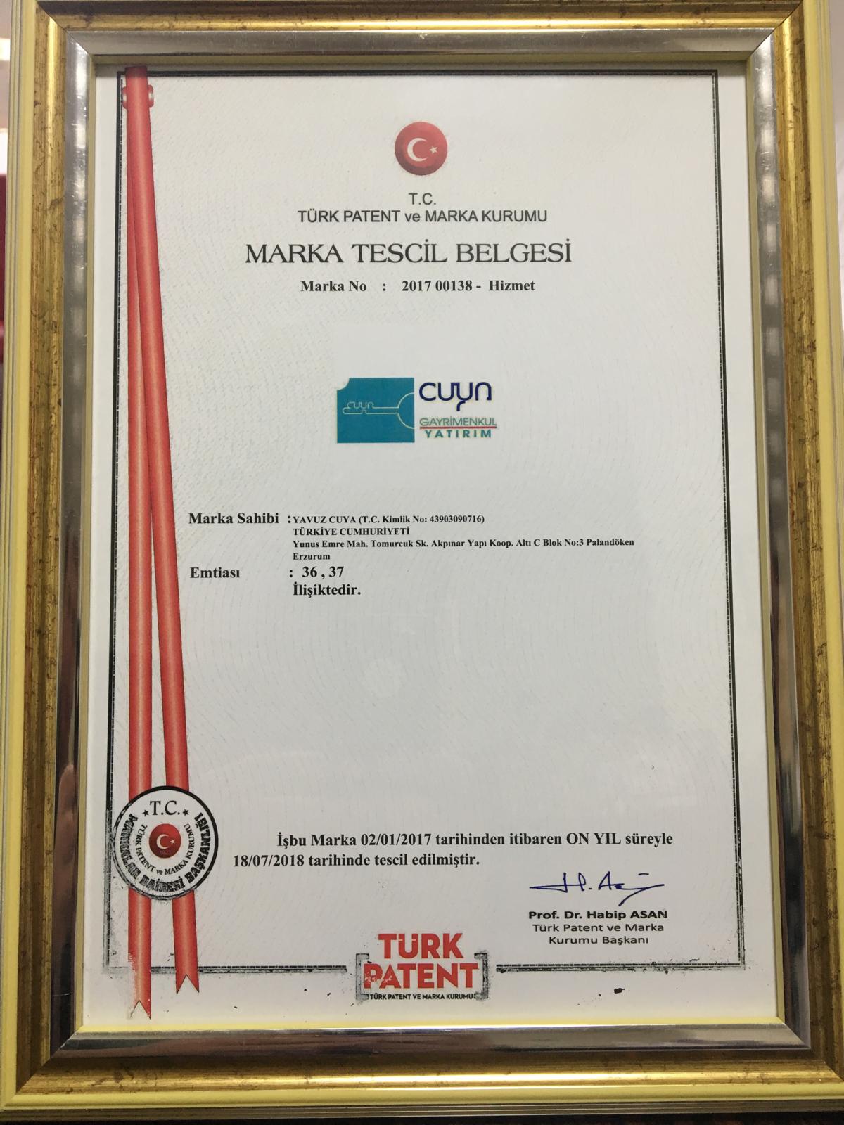 Cuya Gayrimenkul Şirket Hayatı
