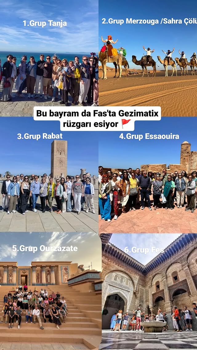 Elize Travel Turizm İnşaat Sanayi ve Ticaret Limited Şirketi Şirket Hayatı