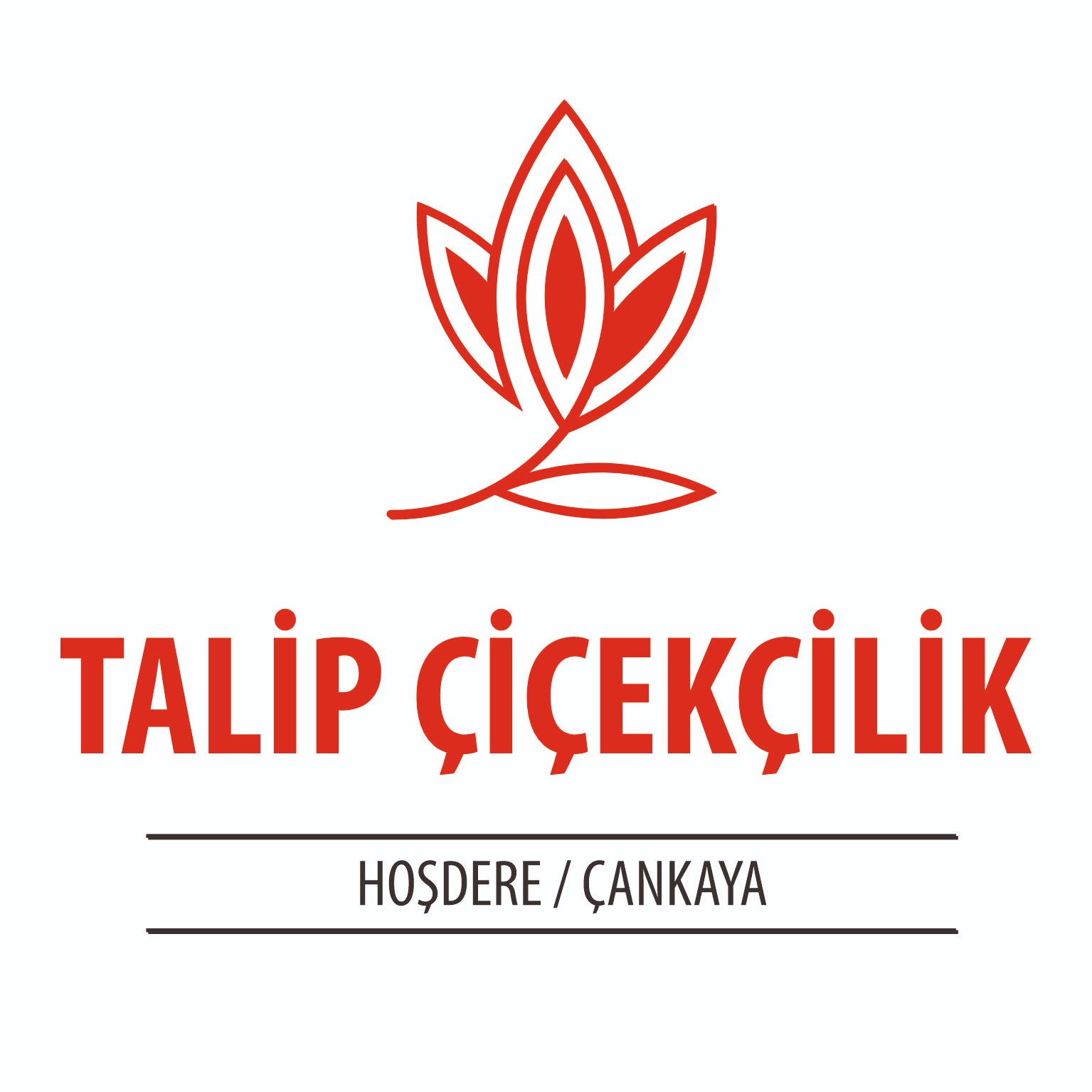 Talip Çiçekçilik İş İlanları - İş Başvurusu