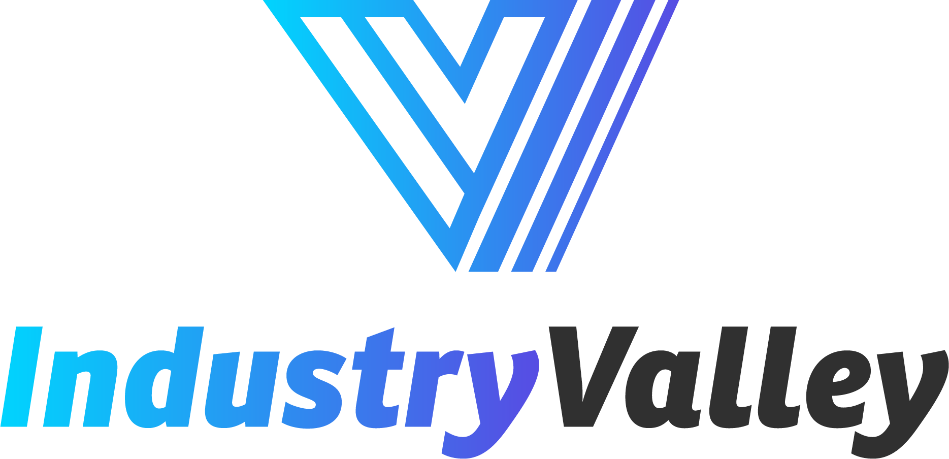 Endüstri Vadisi Şirket Hayatı