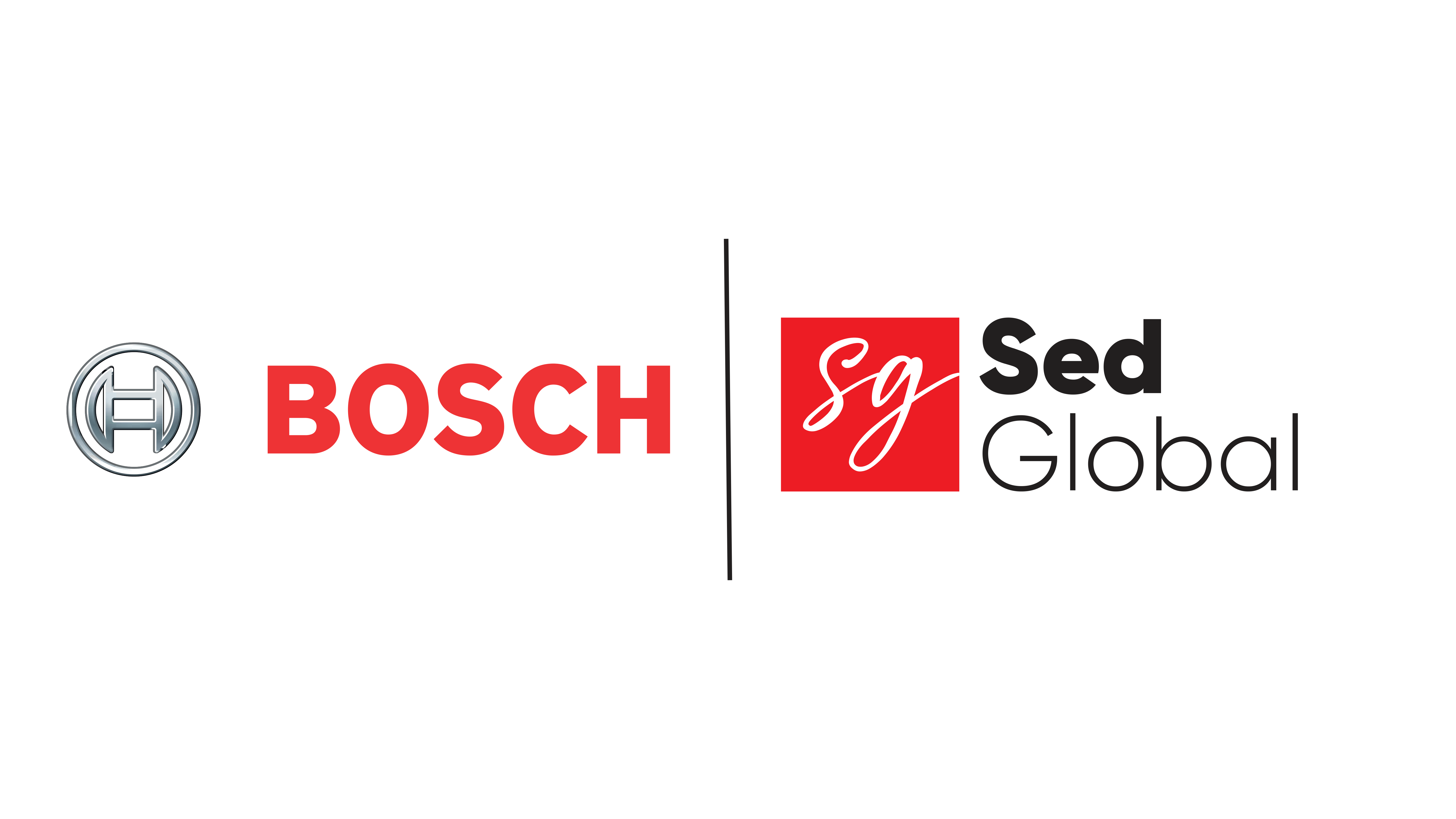 Sed Global Bilişim Sanayi ve Ticaret Ltd.şti. Şirket Hayatı