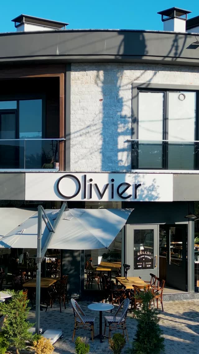 Olivier Düzce Şirket Hayatı